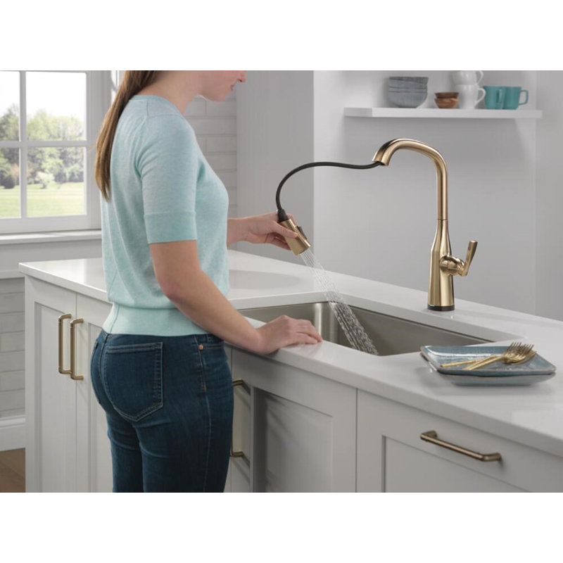 Stryke Pull Down Touch Single Handle Kitchen Faucet with Touch2O Technology and With Accessories, Champagne Bronze