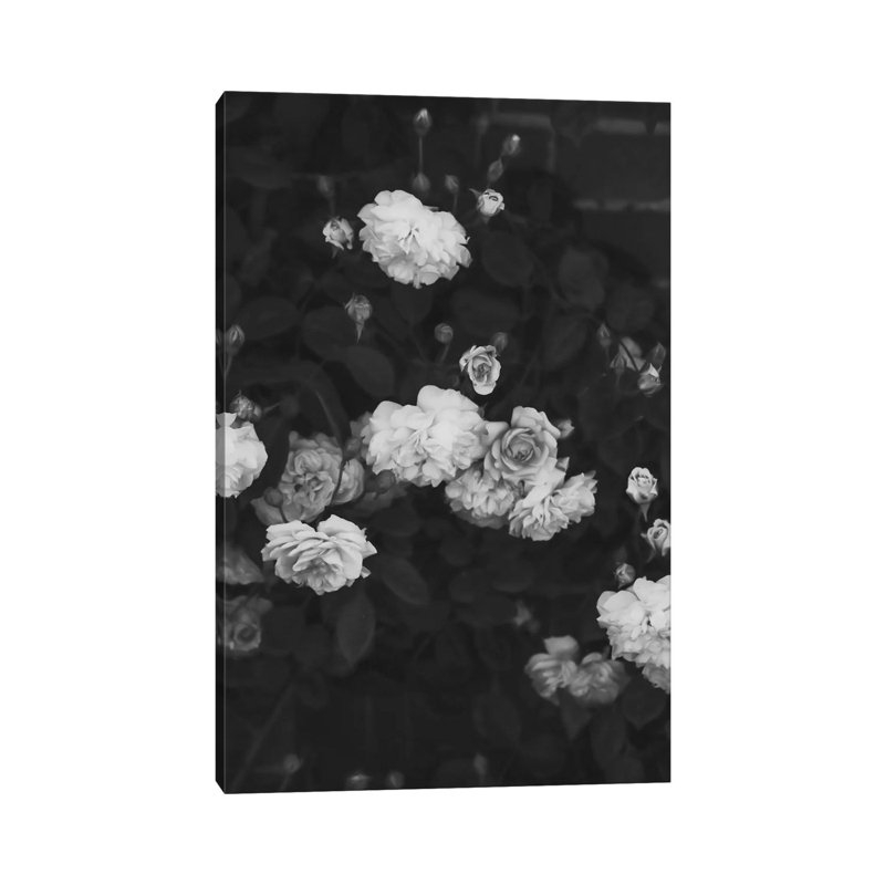 Black and White Roses 1 Piece Wall Art on Canvas, 45.72cm H x 30.48cm W x 1.91cm D, Wrapped Canvas