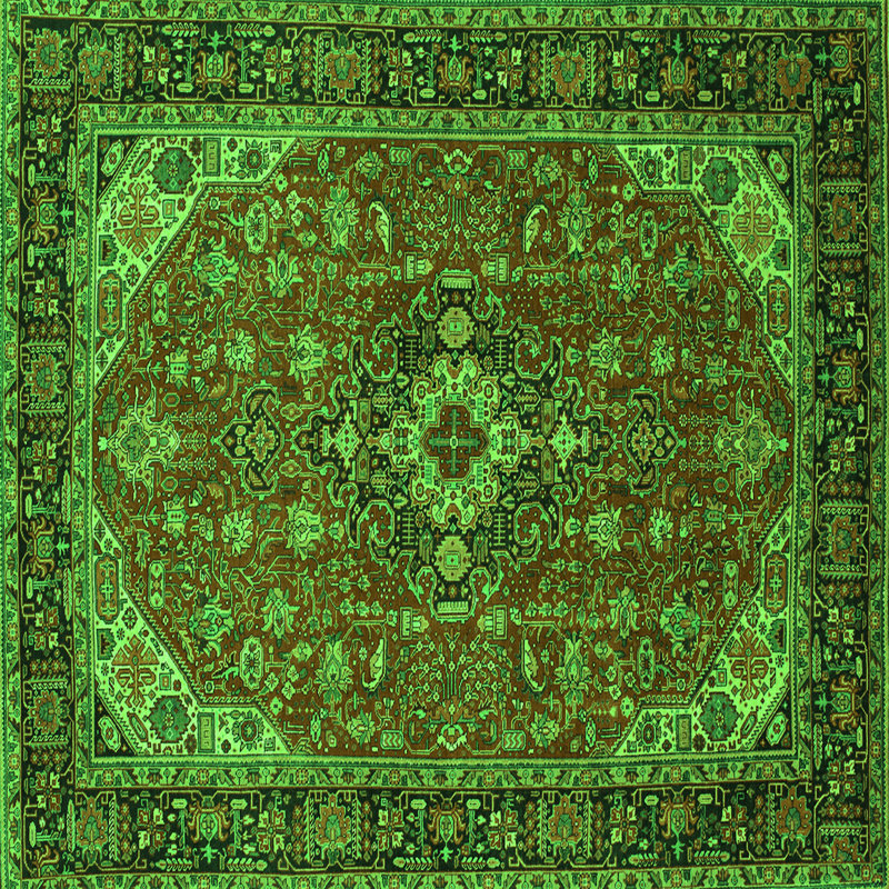 Amandalee Performance Oriental Indoor Rug, Square 6'