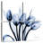 Harnek Marvelous Indigo Tulips