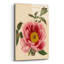 Art mural en verre acrylique épique «Paeonia Montan» par Art Licensing Studio, 12 po x 16 po