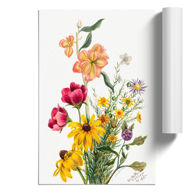 Group of Flowers by Mary Vaux Walcott - Frameless Print