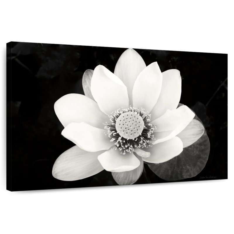 Fleur de lotus Harnek II, H 26 po x l 39 po