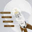 Lampe trépied Damhnait-2053873969-2053873971