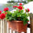 Bracket Plant Stand
