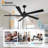 Baun 5-Blade Indoor Ceiling Fan with Remote solid wood Blades DC Motor-1053104806-1031031491-1053104807
