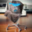 Coussin Schafer-566217563-566217567