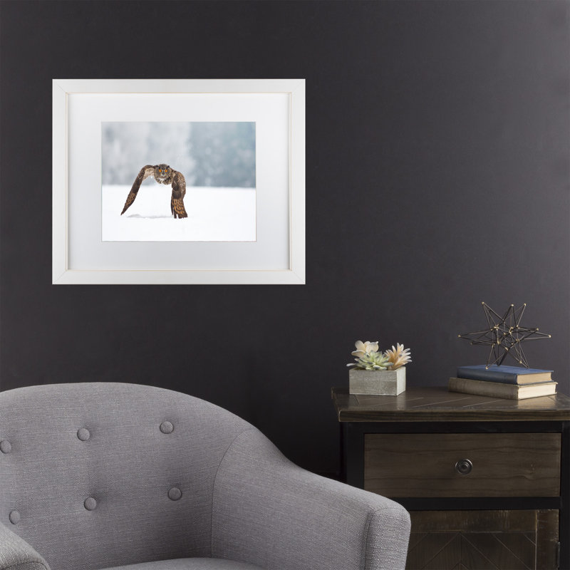 « eurasian eagle hibou », reproduction de photo sur toile tendue, Cadre blanc, Blanc, H 11 po x l 14 po x P 0,5 po