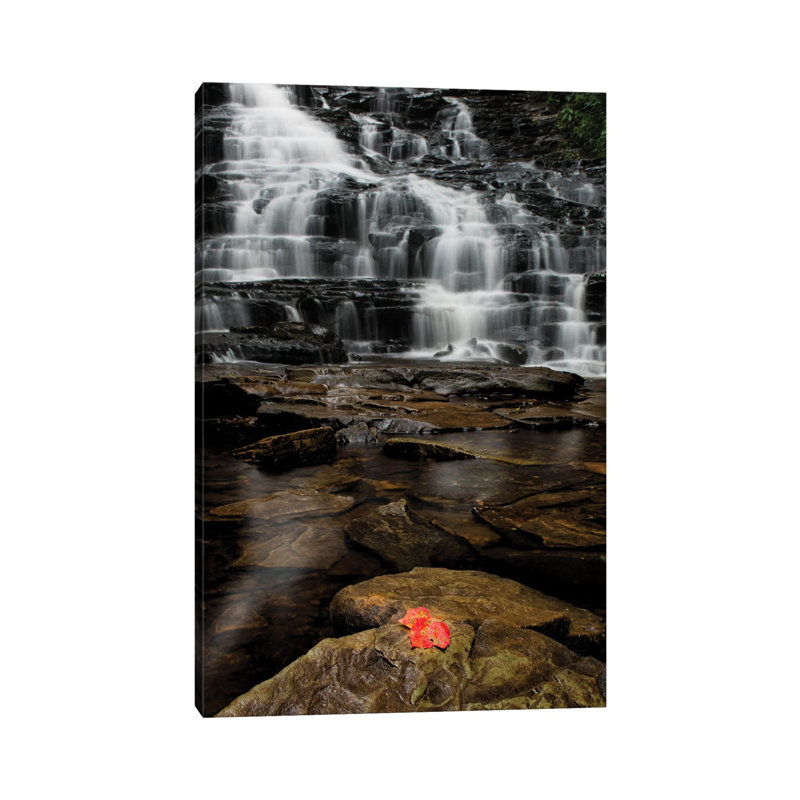 Fall Herald by David Gardiner - Gallery-Wrapped Canvas Giclée on Canvas, Wrapped Canvas, 66.04 cm H x 45.72 cm W x 3.175 cm D