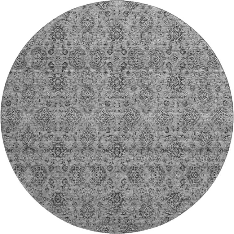 Premium Machine Washable Prisco Gray Rug