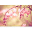 Morgan J Hartley - Wrapped Canvas Print-1095453142