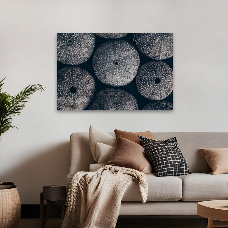 Oursins de la côte moderne et contemporaine I, H 48 po x l 32 po