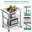 Tables de travail en acier inoxydable L 30 po x l 24 po x H 33,8 po Edrosie Inc