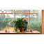 Estela 1 - Light LED Pendant-75551669