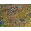 Abstract Aerial Landscape II Print by Frank Peters-65852332-92903057-132435361