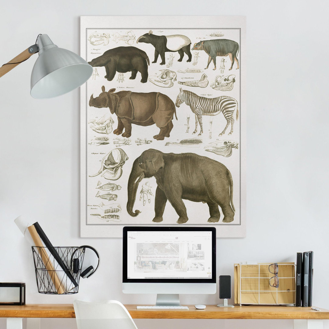 Leinwandbild Elefant, Zebra und Nashorn