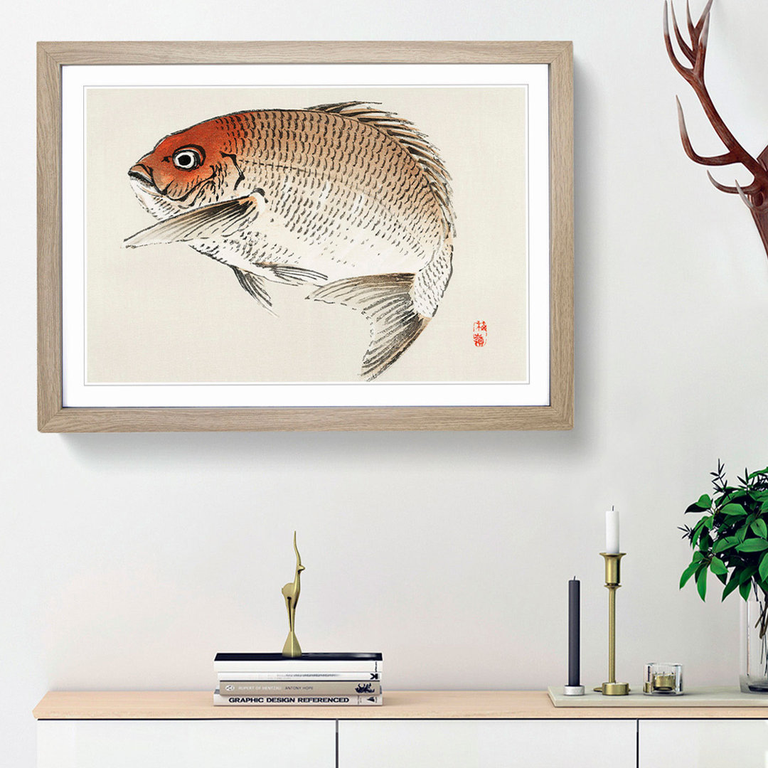 Red Seabream Fish by Kono Bairei - Picture Frame Painting Print