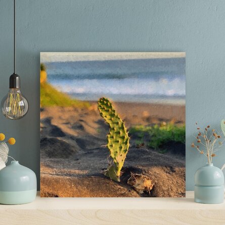 Selective Focus Photography Of Cactus Plant 1 - 1 Piece Square Graphic Art Print On Wrapped Canvas