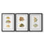 Antique Tropical Fish I  -Custom Framed  Wrapped Gallery Canvas - 3 Pieces-1179667030-1179667031