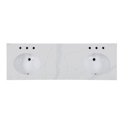 Alsup 66'' W Double Vanity