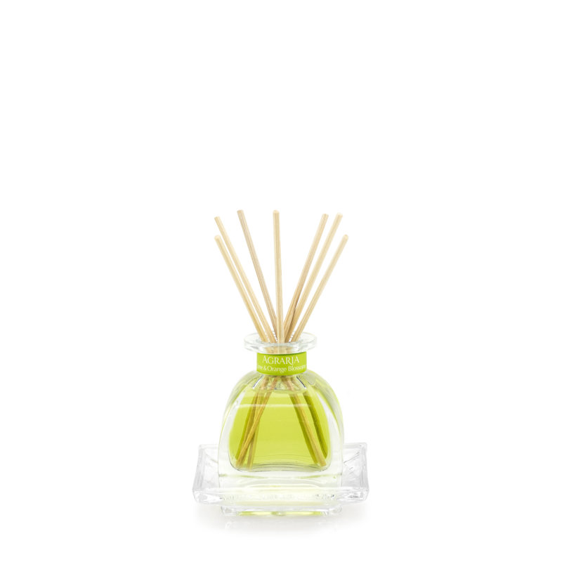 Petitessence Lime and Orange