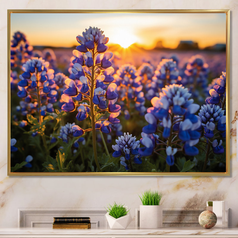 Blue Bonnets Field Photo V - impression, Cadre flottant doré, H 12 po x l 20 po x P 1 po