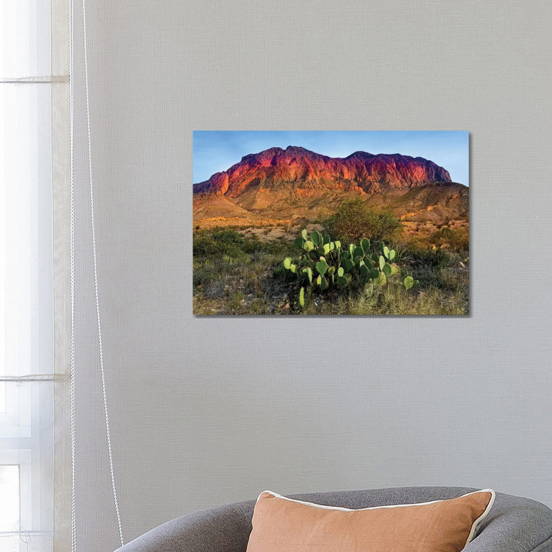 Chisos Mountains With Prickly Pear Cactus IV by Susanne Kremer - Gallery-Wrapped Canvas Giclée on Canvas, Canvas
