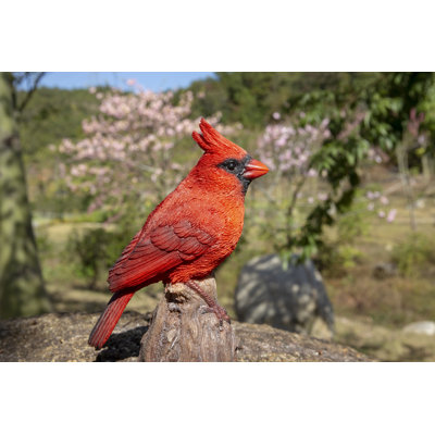 Cardinal chantant activé par le mouvement debout sur une souche