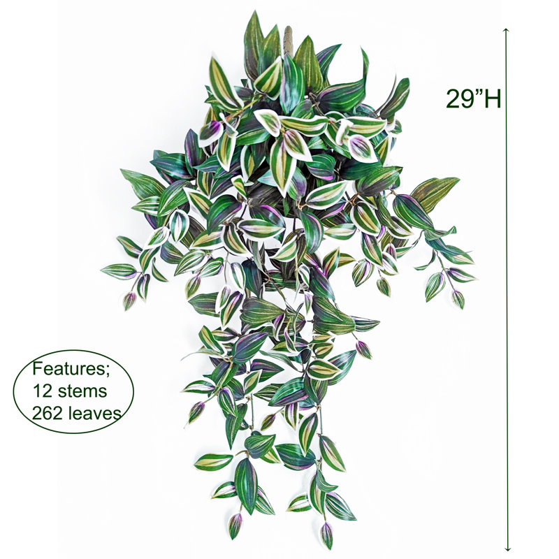 Buisson suspendu juif, H 29 po x l 20 po x P 4 po