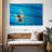 Sireci Synchronized Swimmers-108126904