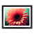 Black Framed selected