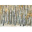 Parvez Taj - Wrapped Canvas Painting-36705858