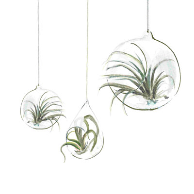 Groovy Greenery 3, reproduction sur toile tendue