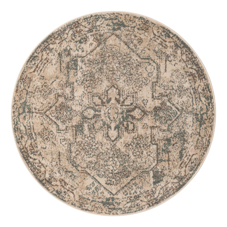 Mosely Oriental Indoor Rug