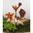 Tuscan Sunset 9 oz. Martini Glass