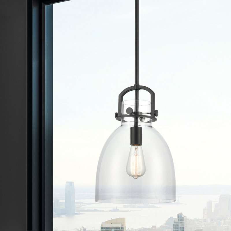 Badillo 1 Light Stem Hung, 14.75" H x 10" W x 10" D, Clear, Matte Black