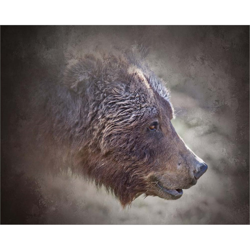 «Grizzly Bear Boar» par Larry Mcferrin, art mural sur toile