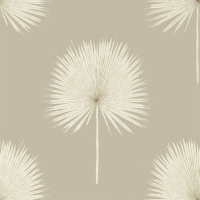 Fan Palm Wallpaper