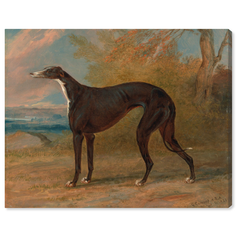 Lévrier noir et blanc par George Garrard - Peinture sur toile, Toile tendue, H 20 po x l 24 po