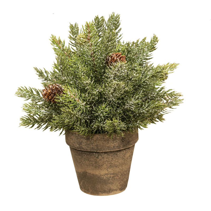 Arrangement floral d'épinette givrée en pot