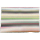 Striped Area Rug in Brights