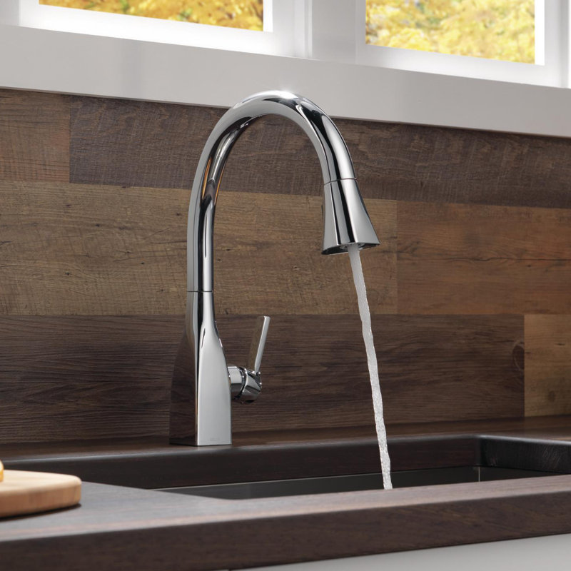 Robinet de cuisine à poignée simple avec accessoires Mateo ™, Chrome
