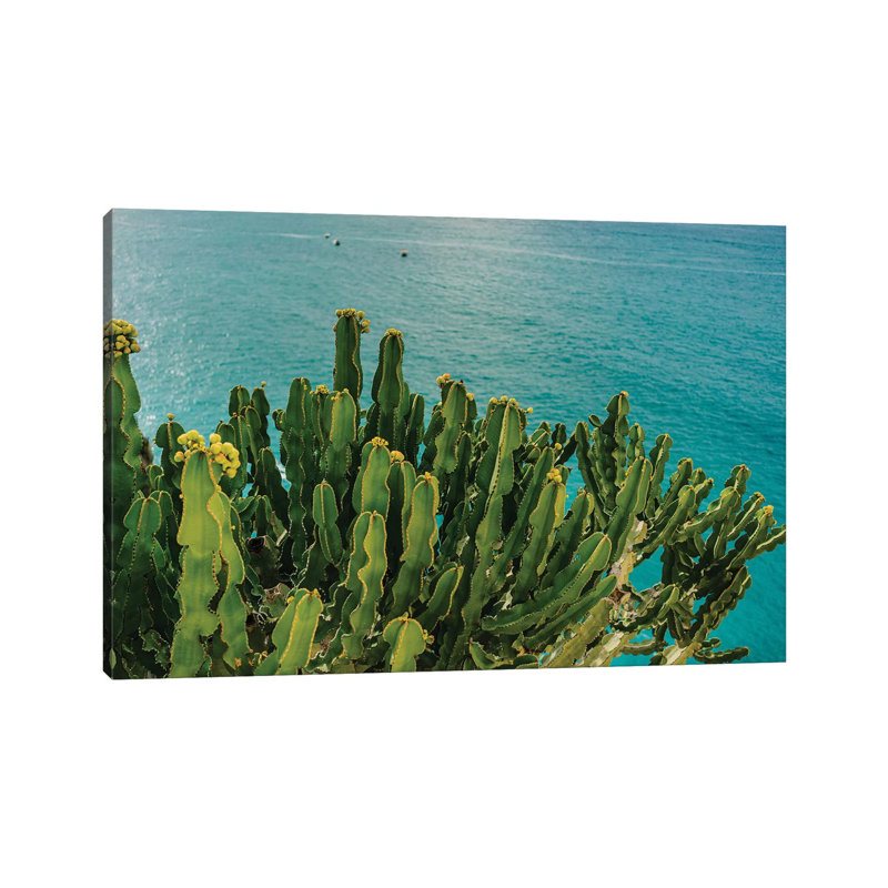 Amalfi Coast Cactus I 1 Piece Wall Art on Canvas, 45.72cm H x 66.04cm W x 1.91cm D, Wrapped Canvas