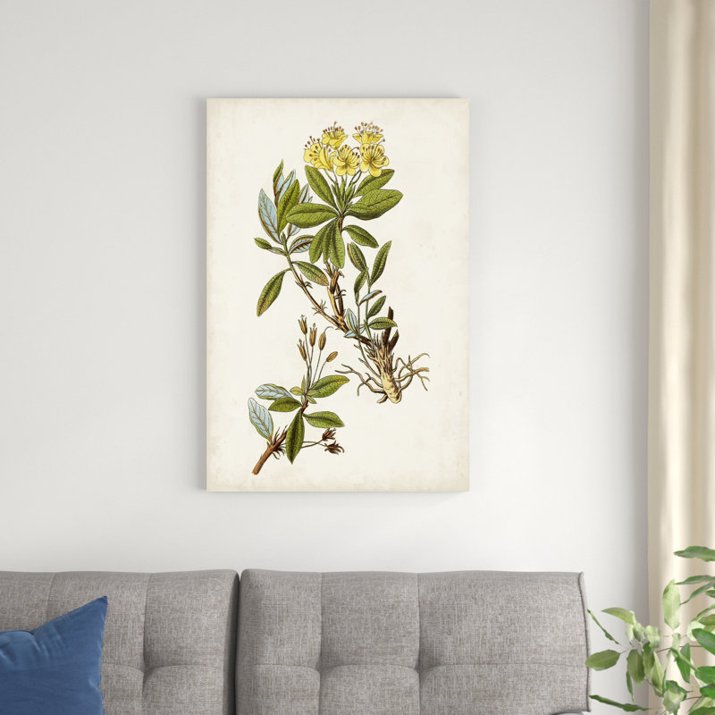 Étude botanique antique IV, H 36 po x l 24 po x P 1,25 po