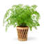Navona Handmade Glass Table Vase-61883178