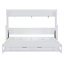 Lit escamotable double avec élévateur hydraulique et bureau-709127538-709127543