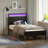 Deviana Metal Bed Frame with Headboard & Footboard and Charging Station, LED Light Included-838016789
