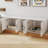 Double-sided Cat Litter Box