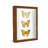 Cattalaya Solid Wood Shadow Box Picture Frame