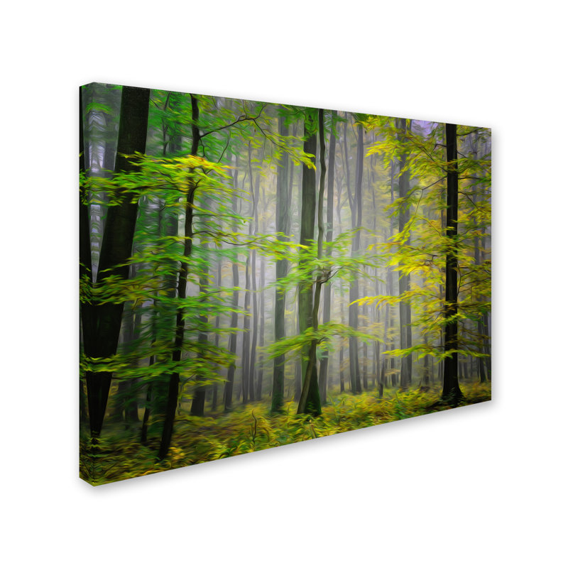 « sucre low », reproduction de photo sur toile tendue, H 12 po x l 19 po x P 2 po